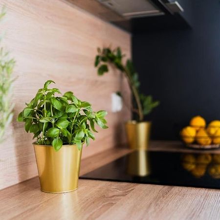City Center - 3 Rooms - New Building - Private Parking Place - Garage Wrocław Buitenkant foto
