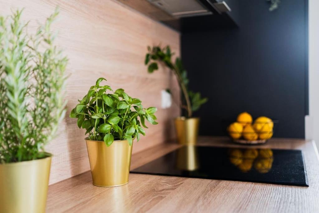 City Center - 3 Rooms - New Building - Private Parking Place - Garage Wrocław Buitenkant foto